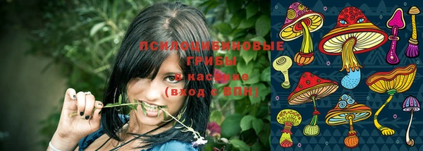 метадон Беломорск