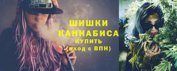 дмт Белокуриха
