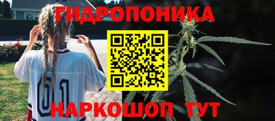дурь Тула