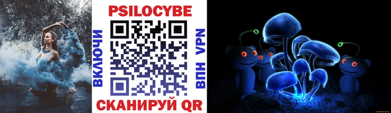 OMG маркетплейс  Дальнегорск  Псилоцибиновые грибы прущие грибы  наркошоп 