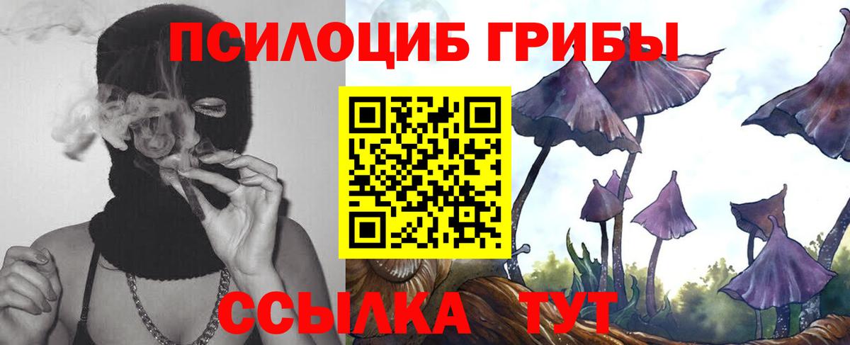 Галлюциногенные грибы Psilocybine cubensis  Вход с VPN  Дальнегорск  где купить   Галлюциногенные грибы мицелий 